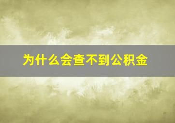 为什么会查不到公积金