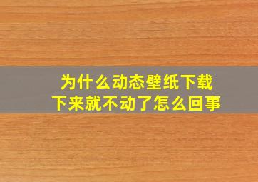 为什么动态壁纸下载下来就不动了怎么回事