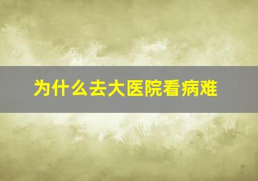 为什么去大医院看病难