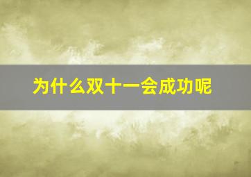 为什么双十一会成功呢