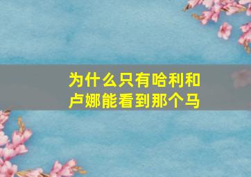 为什么只有哈利和卢娜能看到那个马