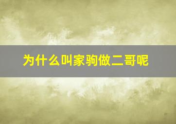 为什么叫家驹做二哥呢