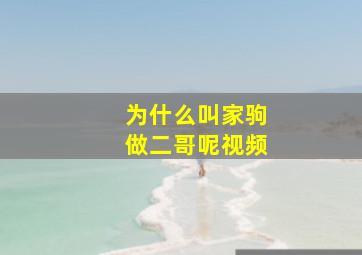 为什么叫家驹做二哥呢视频