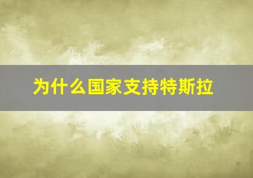 为什么国家支持特斯拉