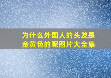 为什么外国人的头发是金黄色的呢图片大全集