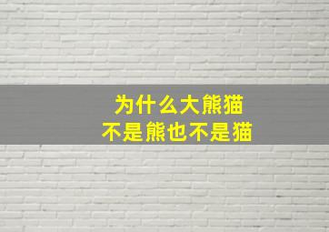 为什么大熊猫不是熊也不是猫