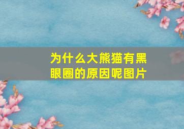 为什么大熊猫有黑眼圈的原因呢图片