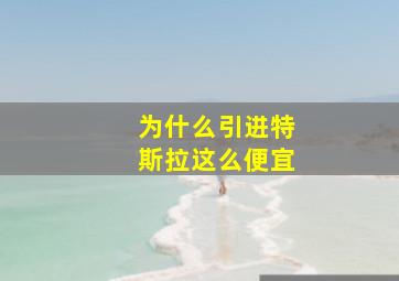 为什么引进特斯拉这么便宜