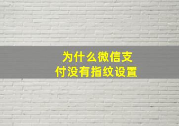 为什么微信支付没有指纹设置