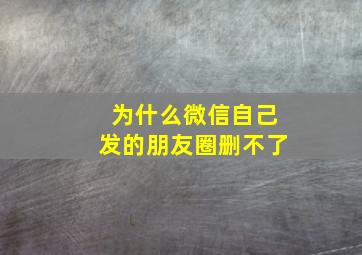 为什么微信自己发的朋友圈删不了