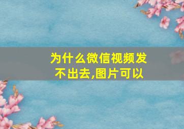 为什么微信视频发不出去,图片可以