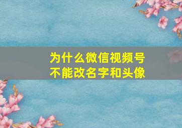 为什么微信视频号不能改名字和头像