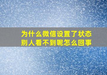 为什么微信设置了状态别人看不到呢怎么回事