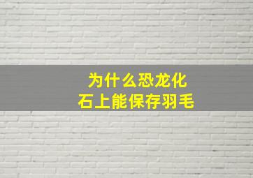 为什么恐龙化石上能保存羽毛