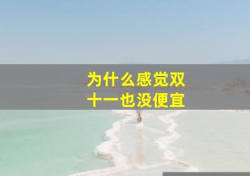 为什么感觉双十一也没便宜