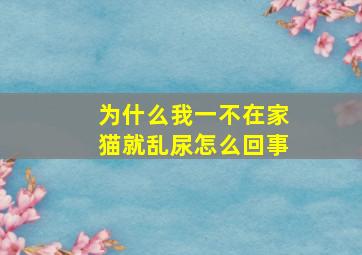 为什么我一不在家猫就乱尿怎么回事