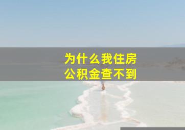 为什么我住房公积金查不到