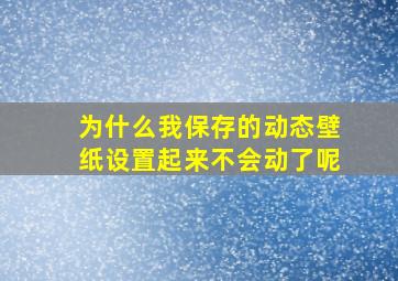 为什么我保存的动态壁纸设置起来不会动了呢