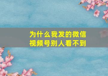 为什么我发的微信视频号别人看不到