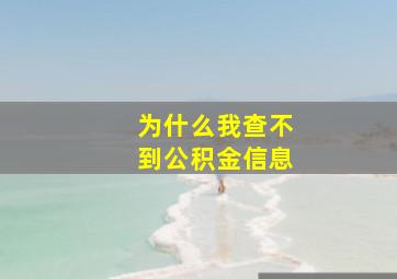 为什么我查不到公积金信息