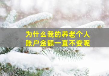 为什么我的养老个人账户金额一直不变呢