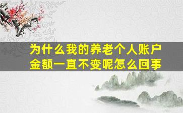 为什么我的养老个人账户金额一直不变呢怎么回事