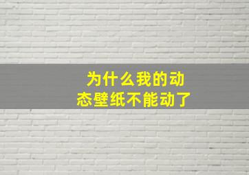 为什么我的动态壁纸不能动了