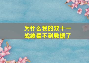 为什么我的双十一战绩看不到数据了