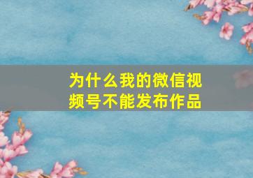 为什么我的微信视频号不能发布作品