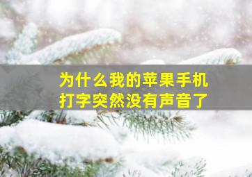 为什么我的苹果手机打字突然没有声音了