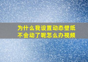 为什么我设置动态壁纸不会动了呢怎么办视频