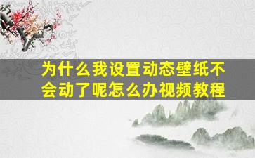 为什么我设置动态壁纸不会动了呢怎么办视频教程