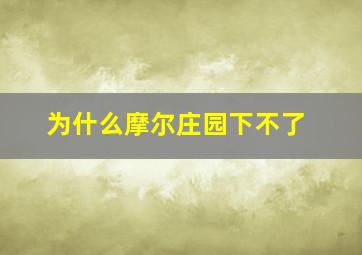 为什么摩尔庄园下不了