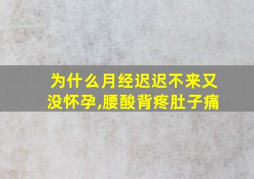 为什么月经迟迟不来又没怀孕,腰酸背疼肚子痛