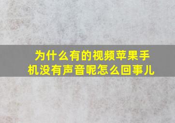 为什么有的视频苹果手机没有声音呢怎么回事儿