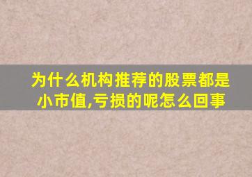 为什么机构推荐的股票都是小市值,亏损的呢怎么回事