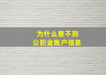 为什么查不到公积金账户信息