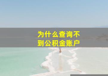 为什么查询不到公积金账户