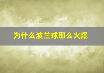 为什么波兰球那么火爆