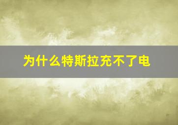 为什么特斯拉充不了电