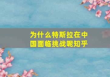 为什么特斯拉在中国面临挑战呢知乎