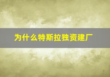 为什么特斯拉独资建厂