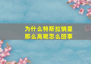 为什么特斯拉销量那么高呢怎么回事