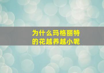 为什么玛格丽特的花越养越小呢