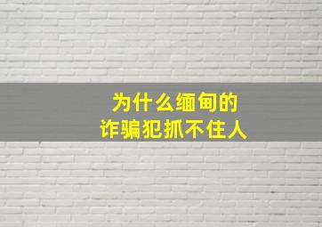 为什么缅甸的诈骗犯抓不住人