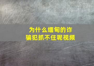 为什么缅甸的诈骗犯抓不住呢视频