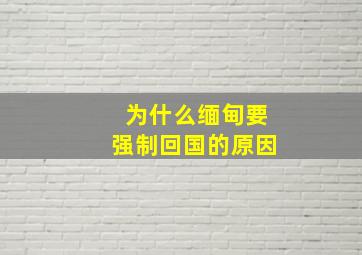 为什么缅甸要强制回国的原因