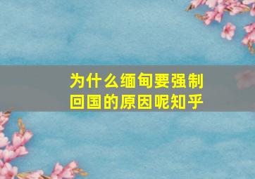 为什么缅甸要强制回国的原因呢知乎