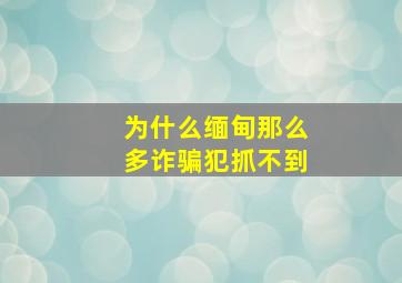 为什么缅甸那么多诈骗犯抓不到