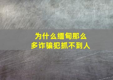 为什么缅甸那么多诈骗犯抓不到人